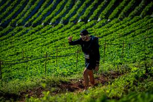 BIB: 
                            <button type="button" onclick="openModal(19160789)" class="btn btn-primary btn-sm float-right btn-popup" data-toggle="modal" data-target=".modal-high-quality">
                        <i class="fas fa-shopping-cart"></i> Add to Cart
                    </button>
                                            <button type="button" onclick="isThisMe(19160789, true)" class="btn btn-success btn-sm float-right btn-popup btn-isme hidden" data-toggle="tooltip" data-placement="bottom" title="นี่คือรูปของคุณใช่ไหม คลิกที่นี่เพื่อเอาเข้าอัลบั้ม">
                        <i class="fas fa-plus"></i> Add to album
                    </button>
                    <button type="button" onclick="isThisMe(19160789, false)" class="btn btn-warning btn-sm float-right btn-popup btn-isnotme hidden">
                        <i class="fas fa-ban"></i> Remove from album
                    </button>